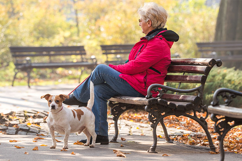 5 Benefits Of Dog Walking For Your Health